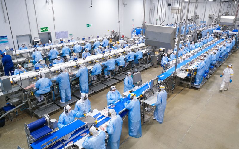 Тарифы США на тилапию: бразильские производители под ударом