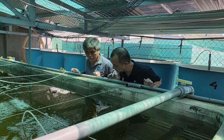 INVE Aquaculture: новое назначение для укрепления позиций в Азии