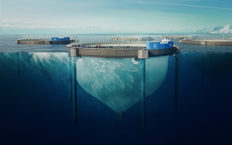 Шотландия одобрила первую ферму с полузамкнутой системой содержания