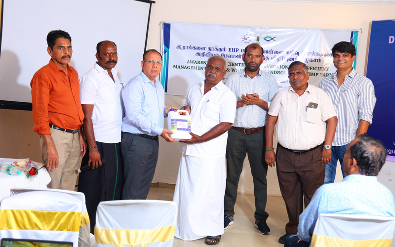 Индия: ученые и фермеры объединились для борьбы с болезнями креветок