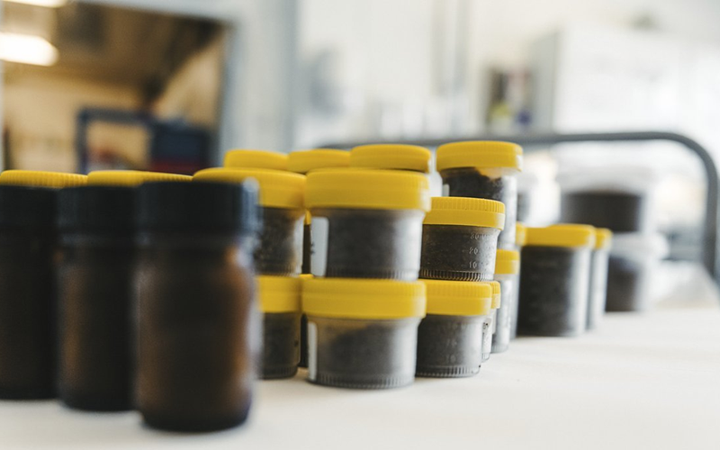 Мониторинг кормов в Норвегии: новые данные о загрязнителях и ПФАС