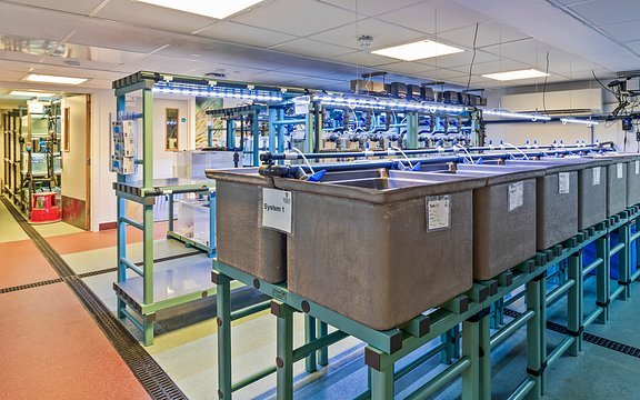 Плимутский университет: новый центр для исследований в аквакультуре