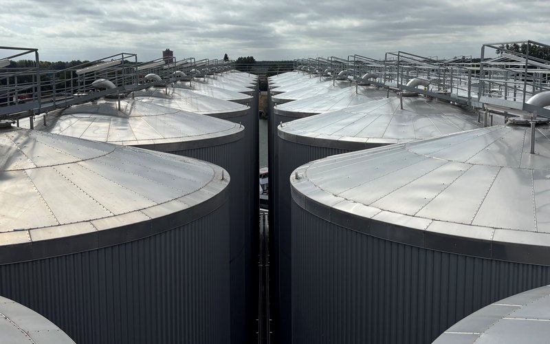 Veramaris: новый терминал для оптовых поставок масла из водорослей в Европе