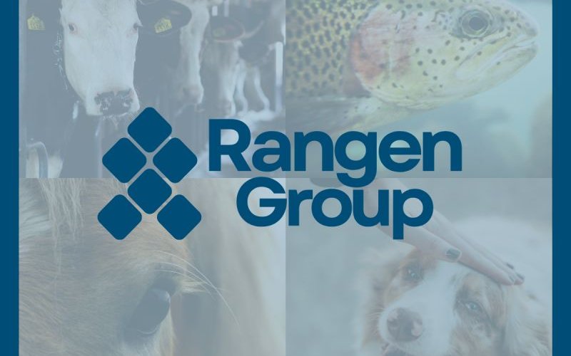 Rangen Group: новый игрок на рынке кормов для аквакультуры