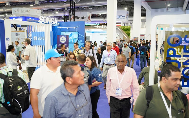 Лидерство Эквадора на рынке креветки: вызовы и стратегия развития