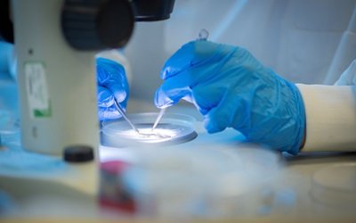 Корма из водорослей: шотландский альянс решит проблему дефицита омега-3