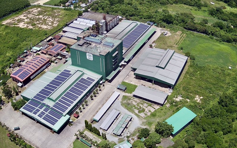 Сертификация ASC для CPF: новый этап для креветочной отрасли Таиланда