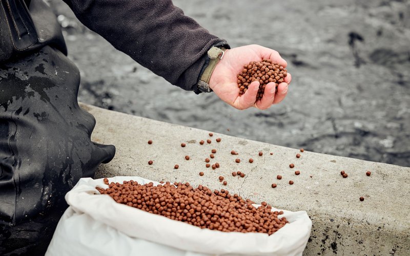 США: Rangen первым сертифицировал аквакорм по стандарту ASC